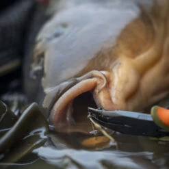 Pb Products Puller & Unhooking Pliers 13CM 7 Pb Products Puller & Unhooking Pliers 13CM -KORA Winkel af3be39ac9a5492eb3aed6c553151791